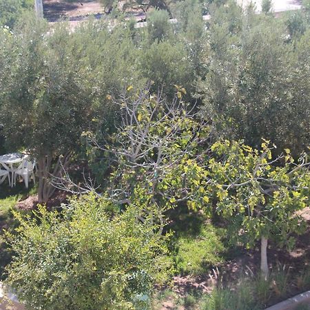 Les Jardins Fleuris Bed and Breakfast Essaouira Esterno foto