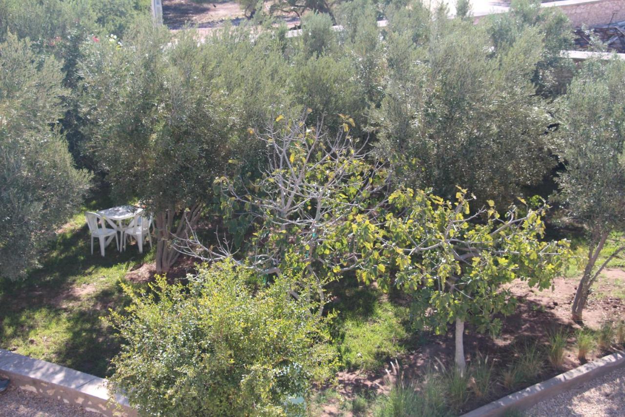 Les Jardins Fleuris Bed and Breakfast Essaouira Esterno foto