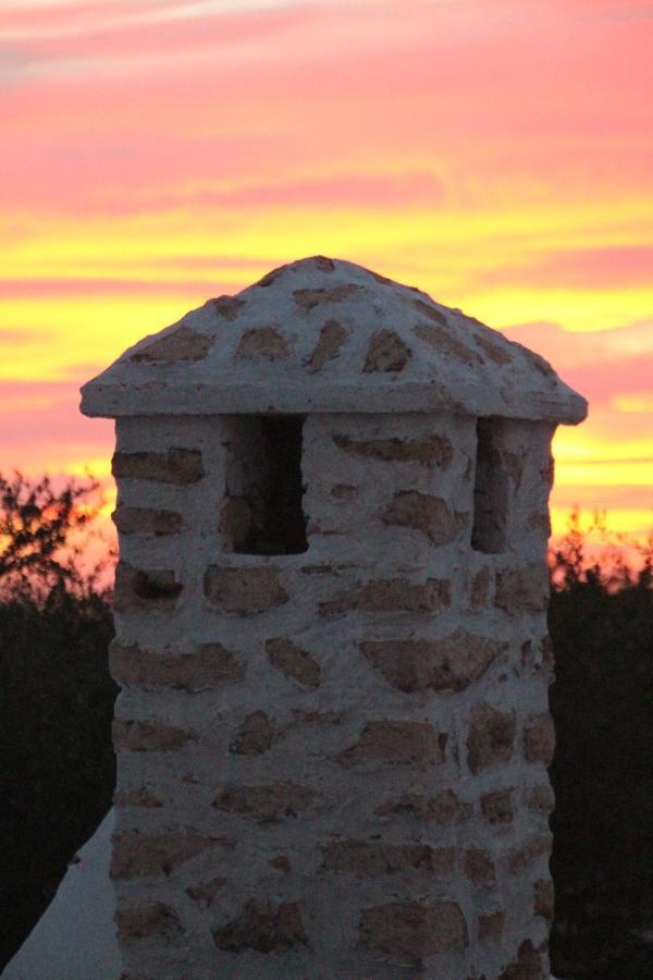 Les Jardins Fleuris Bed and Breakfast Essaouira Esterno foto